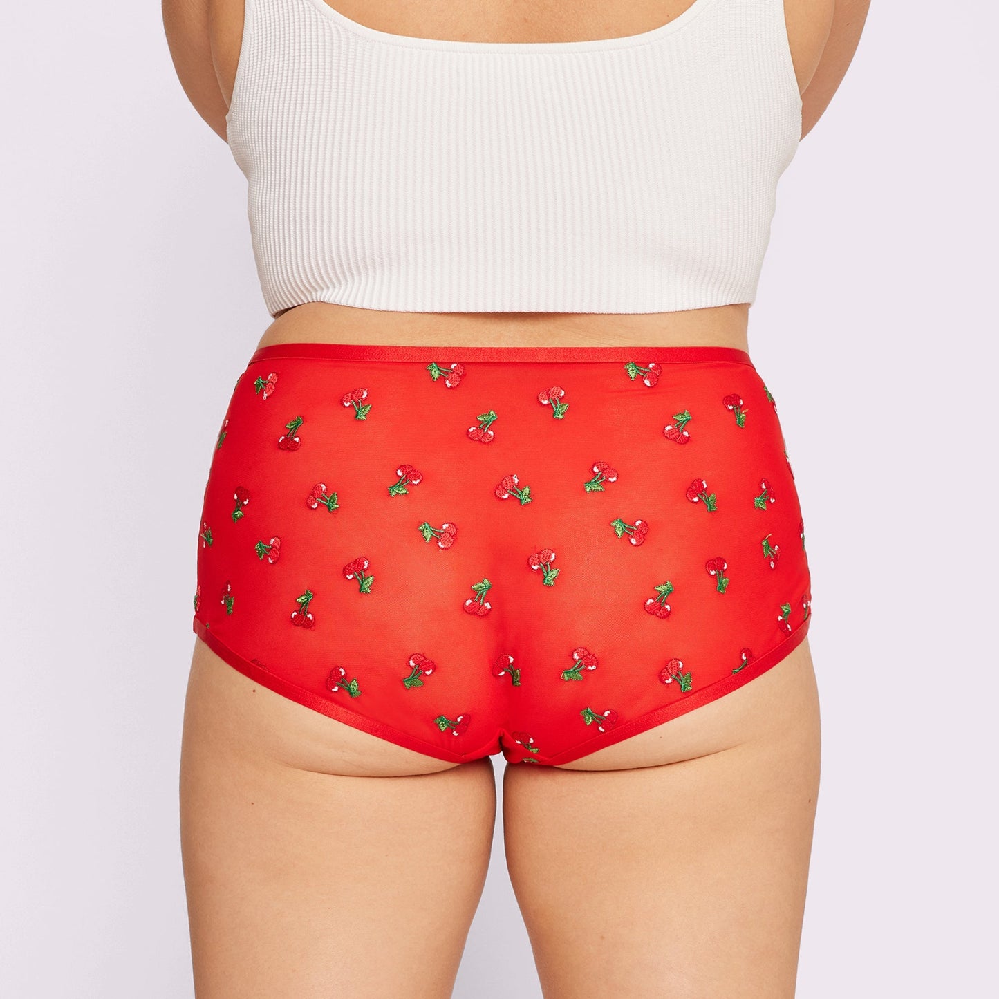 High Rise Boyshort | Silky Mesh (IMAGERY 💎🌐)