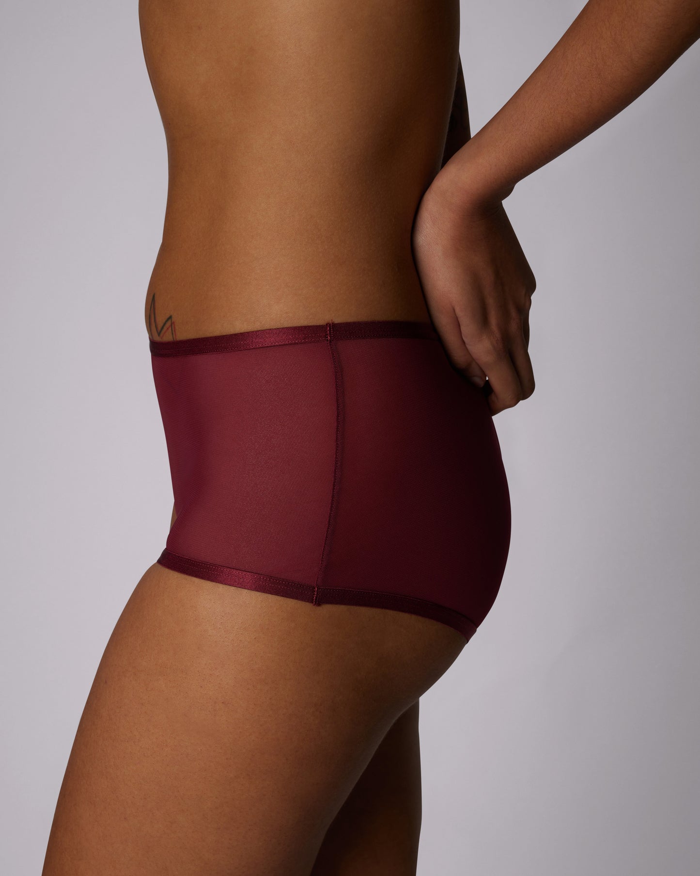 High Rise Boyshort | Silky Mesh (IMAGERY 💎🌐)