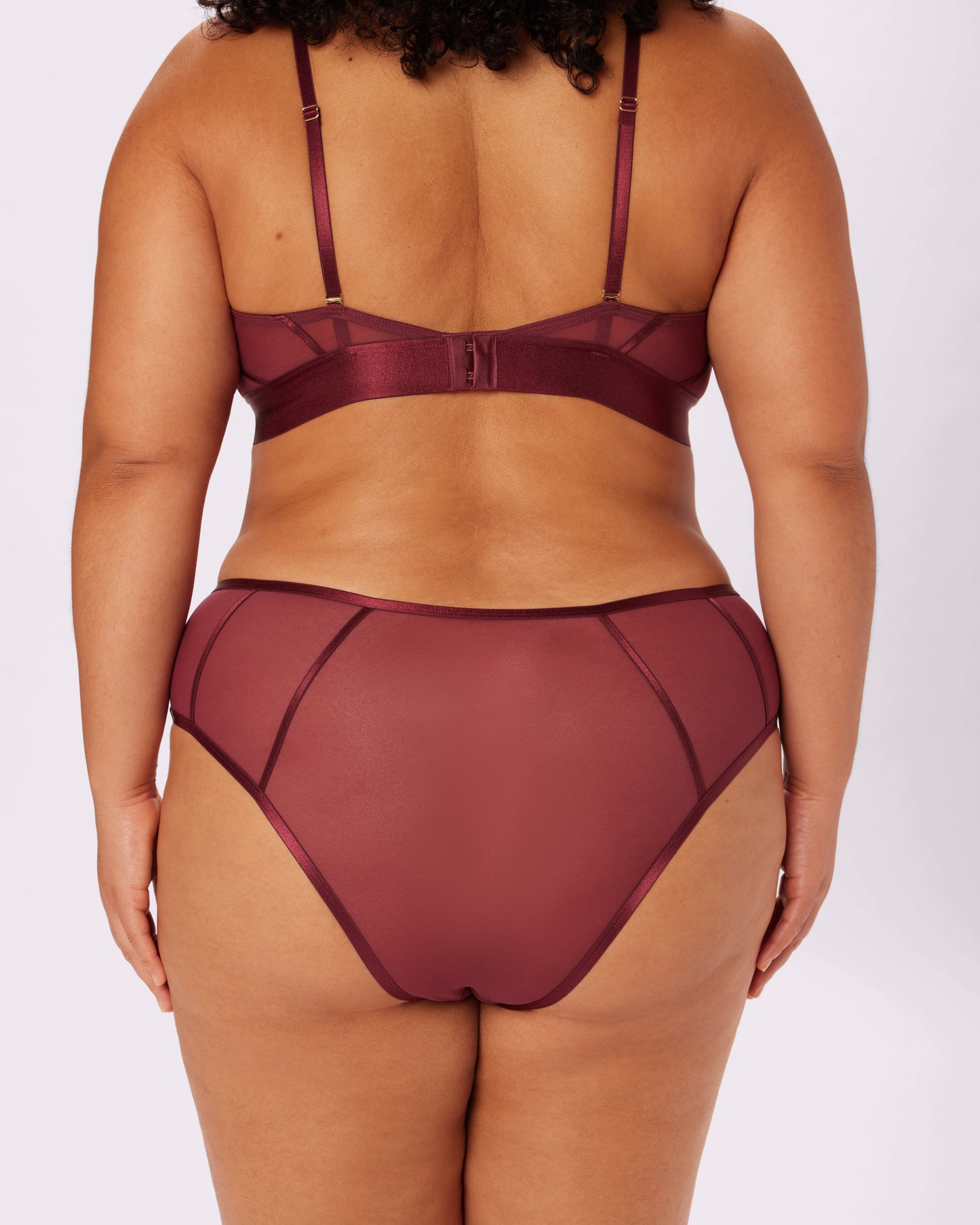 Sheer Sculpt Pop High Rise Cheeky | Silky Mesh (Blackberry)