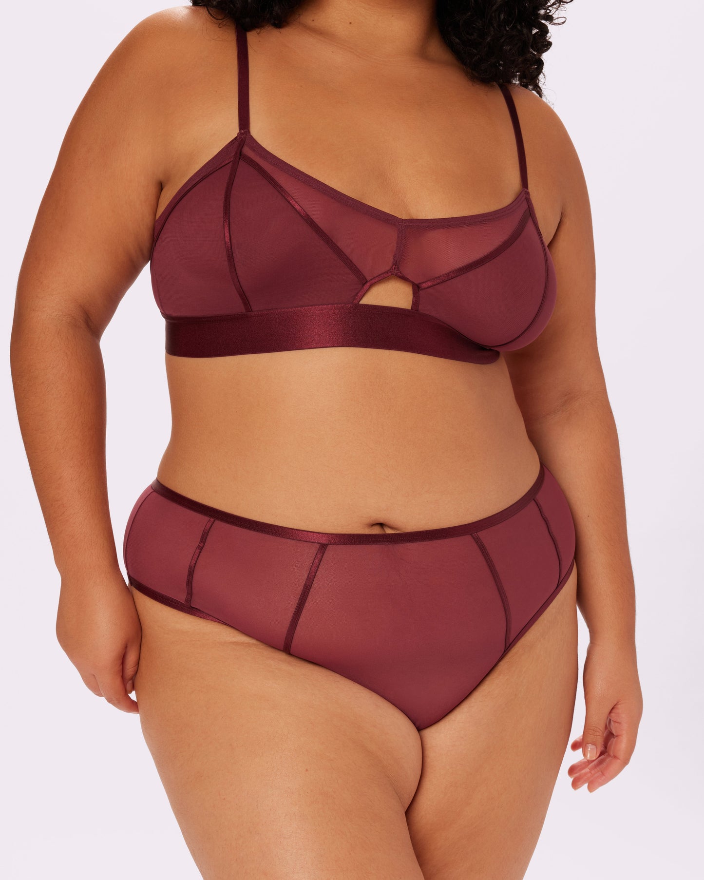 Sheer Sculpt Pop High Rise Cheeky | Silky Mesh (Blackberry)