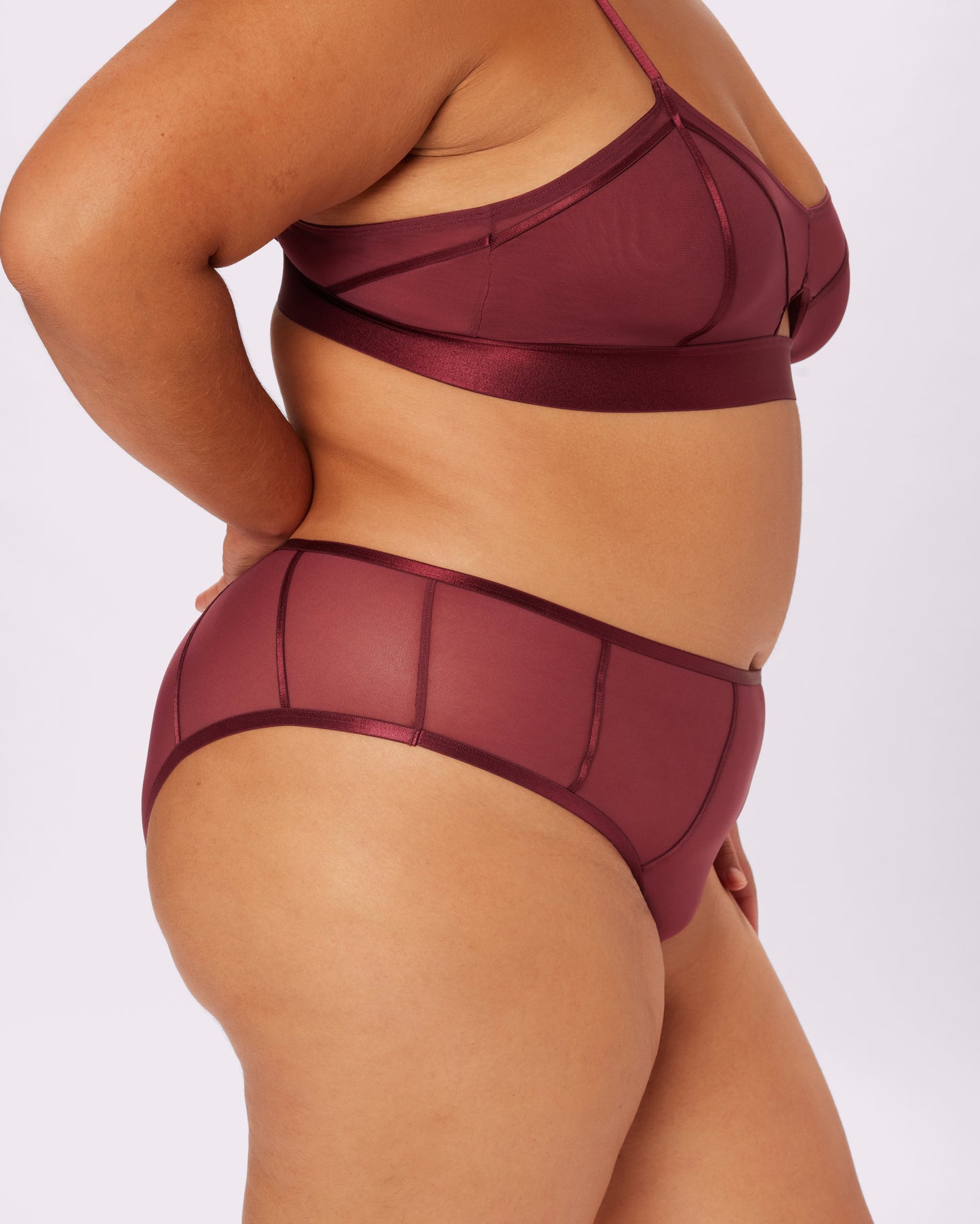 Sheer Sculpt Pop High Rise Cheeky | Silky Mesh (Blackberry)