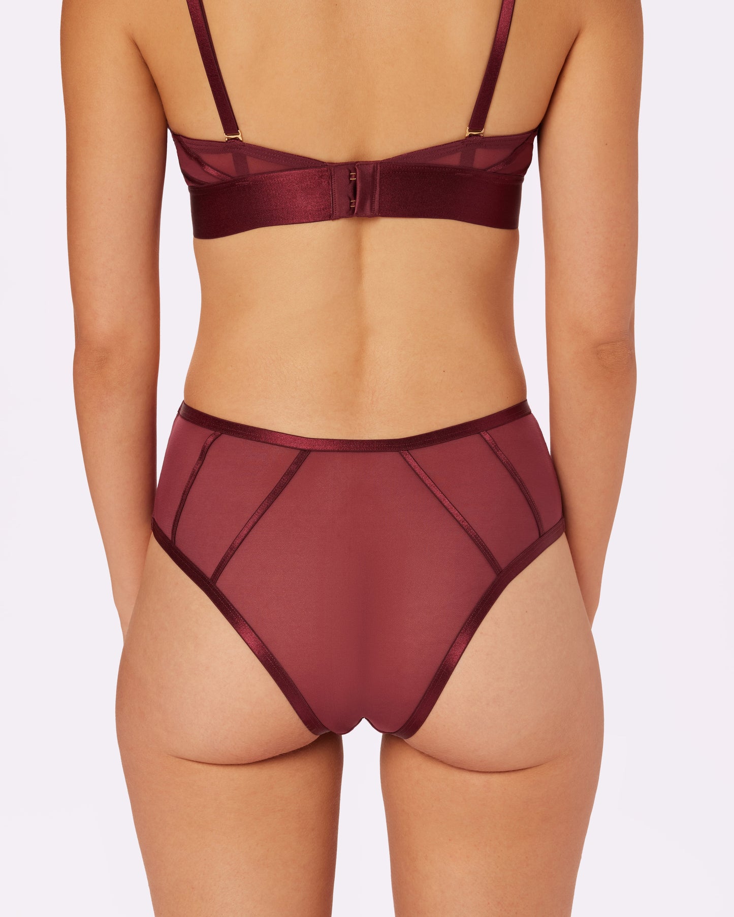 Sheer Sculpt Pop High Rise Cheeky | Silky Mesh (Blackberry)