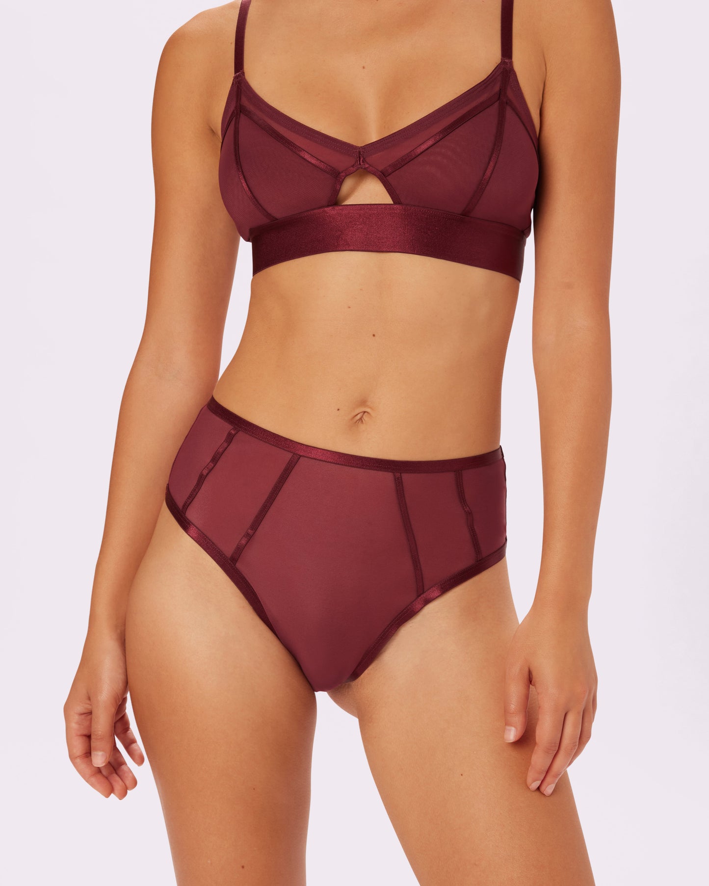 Sheer Sculpt Pop High Rise Cheeky | Silky Mesh (Blackberry)
