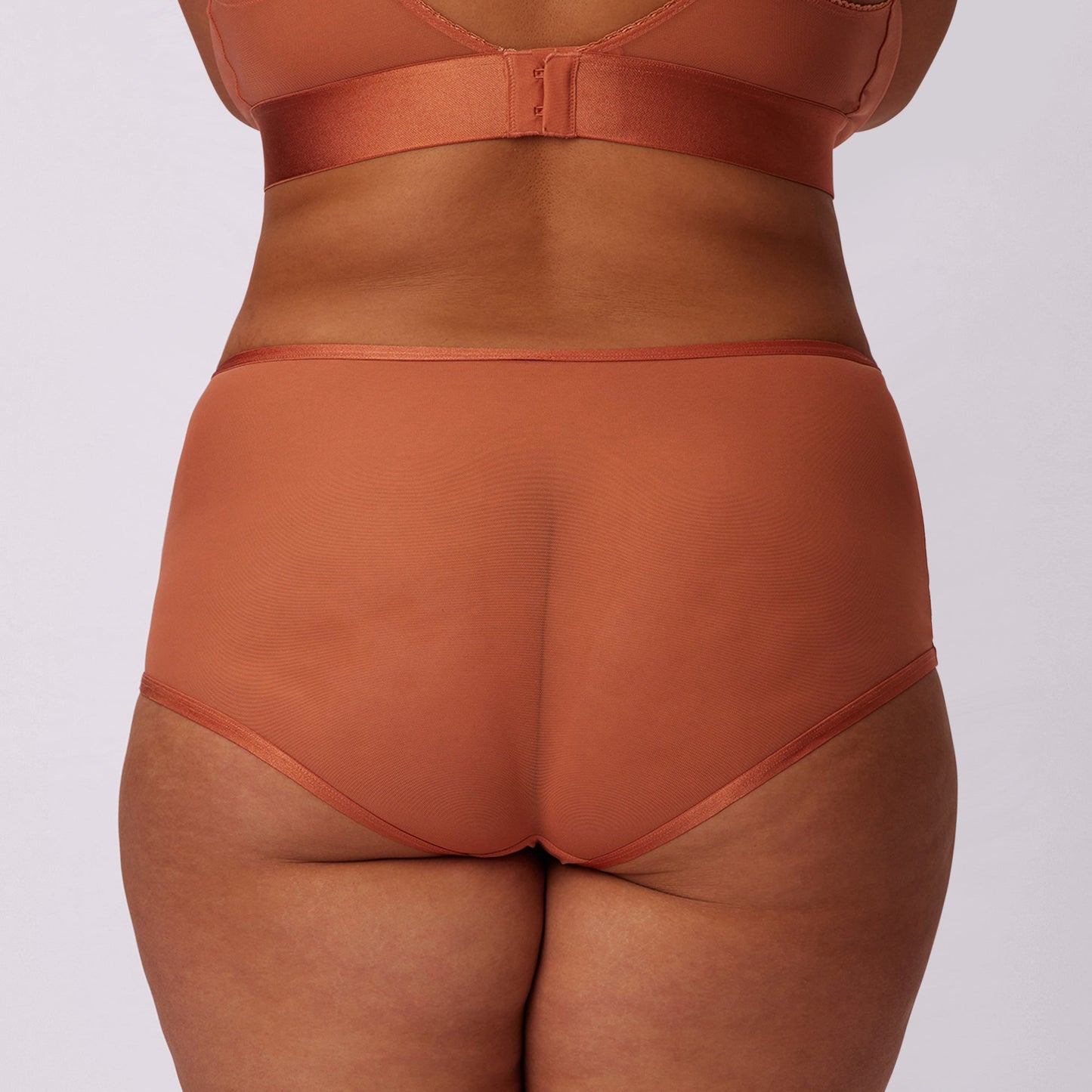 High Rise Boyshort | Silky Mesh (IMAGERY 💎🌐)