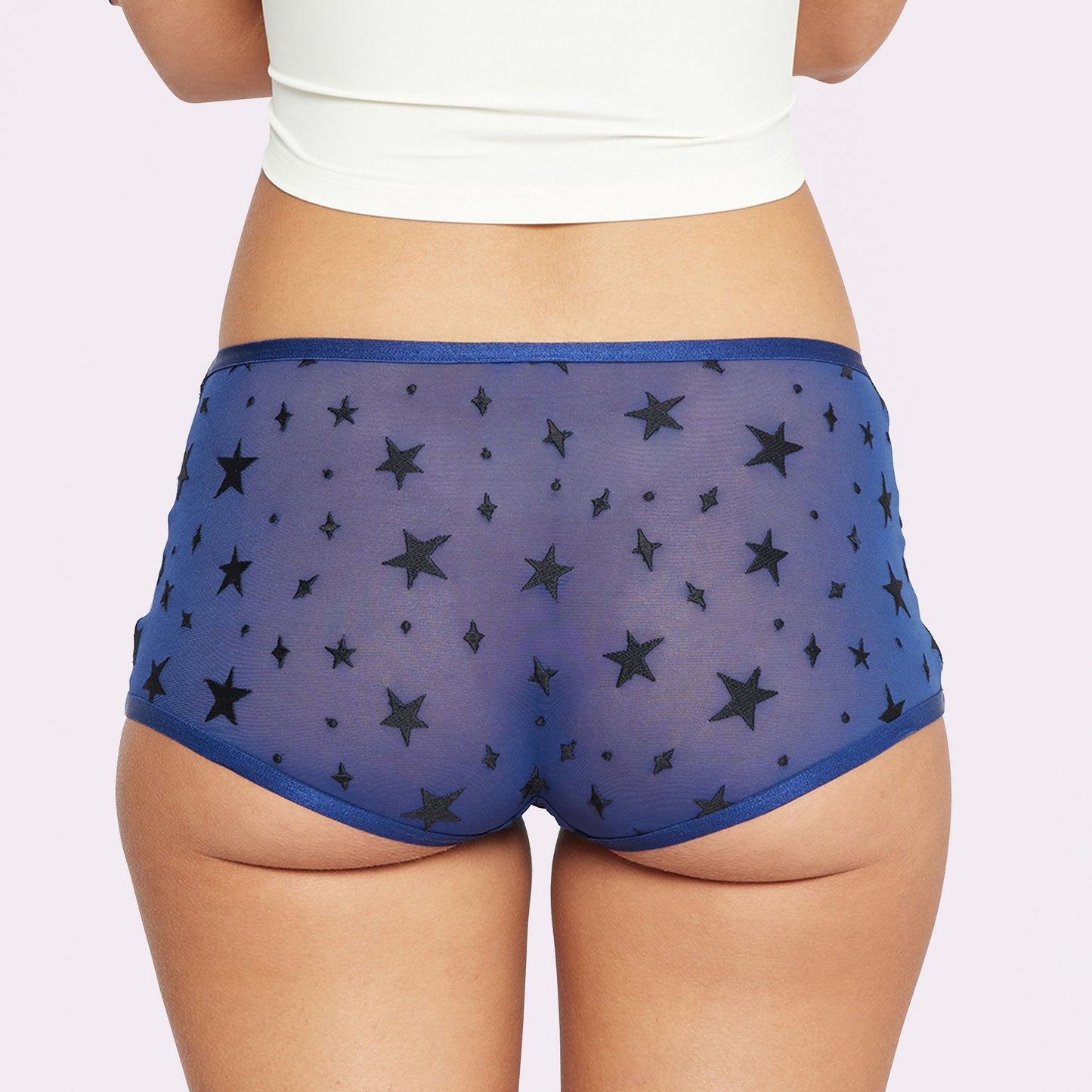 High Rise Boyshort | Silky Mesh (IMAGERY 💎🌐)