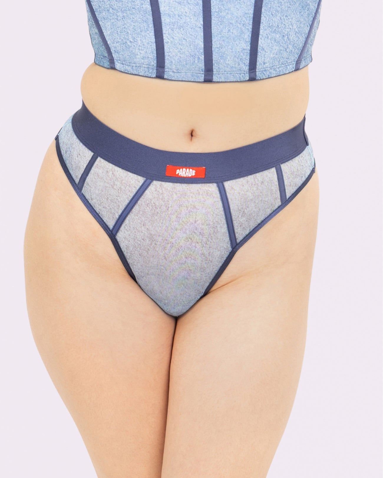 Silky Mesh Sheer Cheeky | Silky Mesh (Denim Dupe)