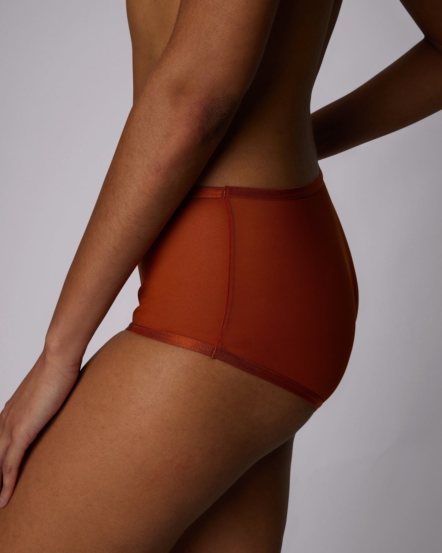 High Rise Boyshort | Silky Mesh (IMAGERY 💎🌐)