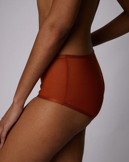 High Rise Boyshort | Silky Mesh (IMAGERY 💎🌐)