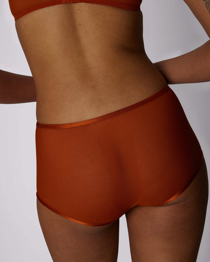 High Rise Boyshort | Silky Mesh (IMAGERY 💎🌐)
