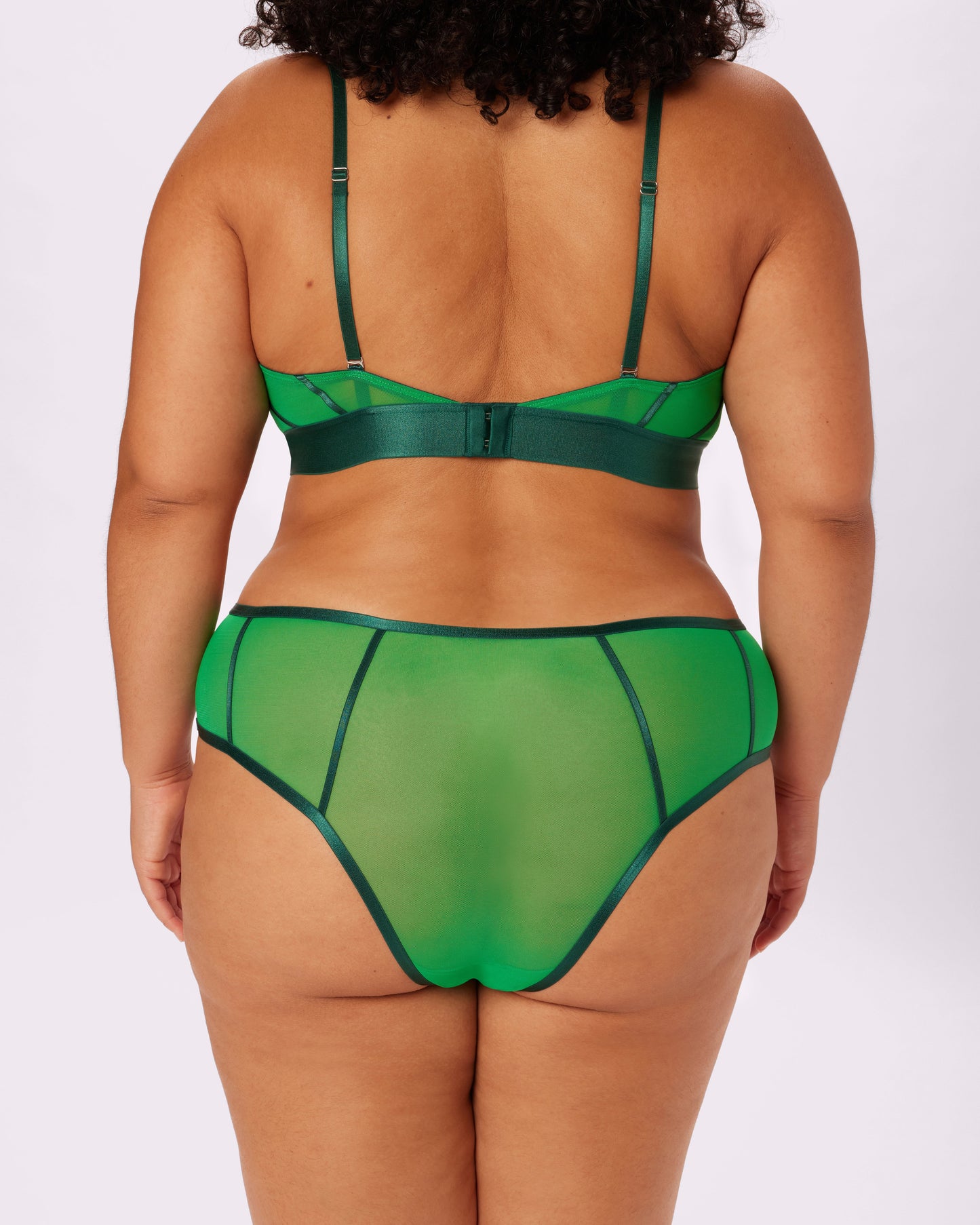 Sheer Sculpt Pop High Rise Cheeky | Silky Mesh | Archive (June Bug)